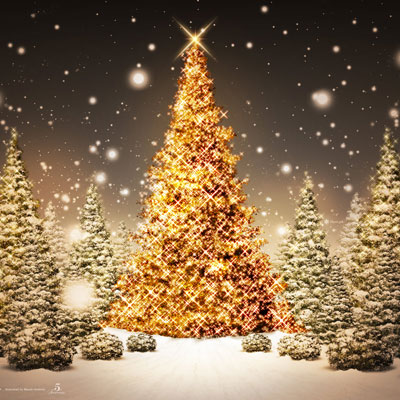 CHRISTMAS FAVORITES - Click Image to Close