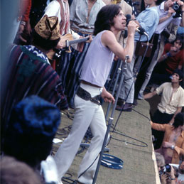 THE STONES IN THE PARK - Click Image to Close